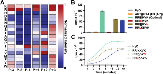 Identification of nonhistone substrates of the lysine methyltransferase PRDM9